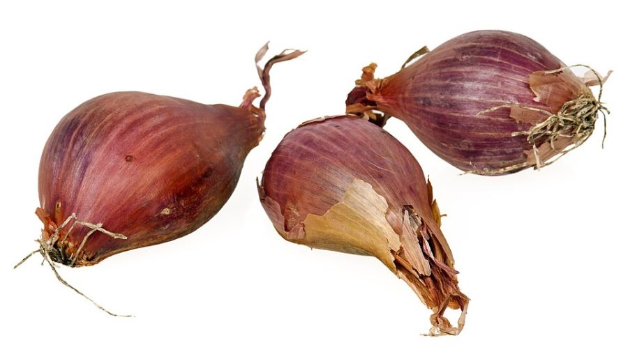 Bawang Merah