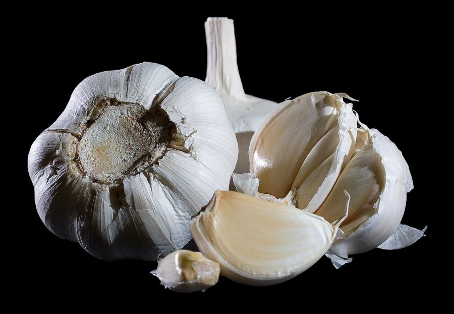 Bawang Putih Kating