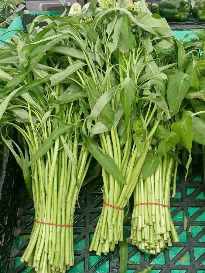 Kangkung
