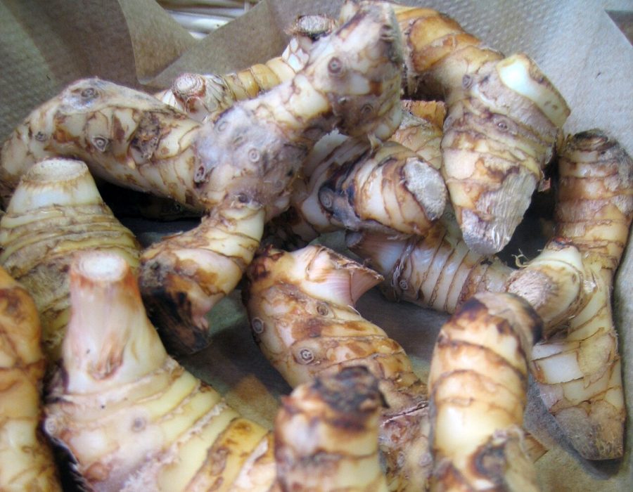 Lengkuas